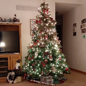 Meet your Posher, Sandy